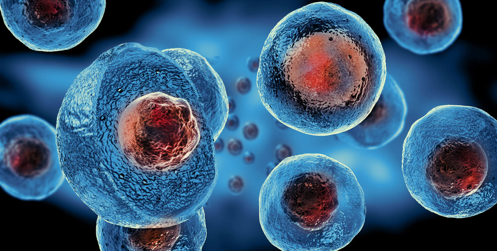 matične ćelije, medicina budućnosti | Trendovi u medicini, Zdravlje i prevencija, lečenje, magazin